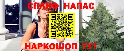 молекула духа Донецк
