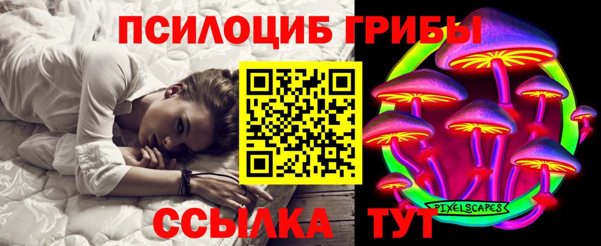 Воскресенск  Псилоцибиновые грибы GOLDEN TEACHER  Псилоцибиновые грибы прущие грибы  Вход с VPN 
